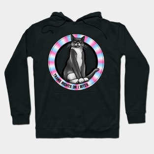 Trans Rights Or I Bites Cat Hoodie